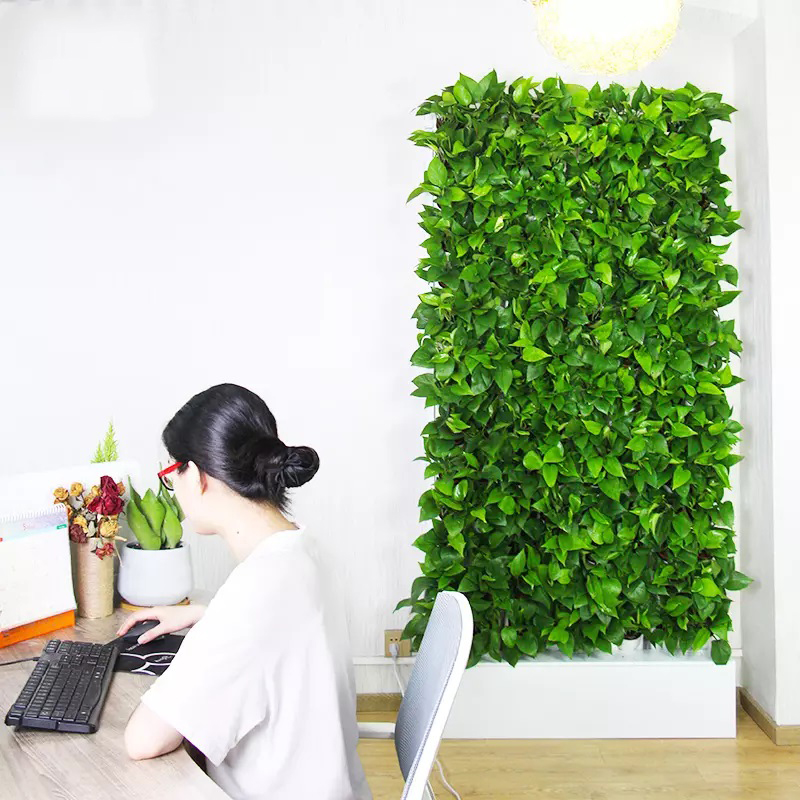 Hydroponic Kit - نظام زراعة مائية داخلي بمساحة متران