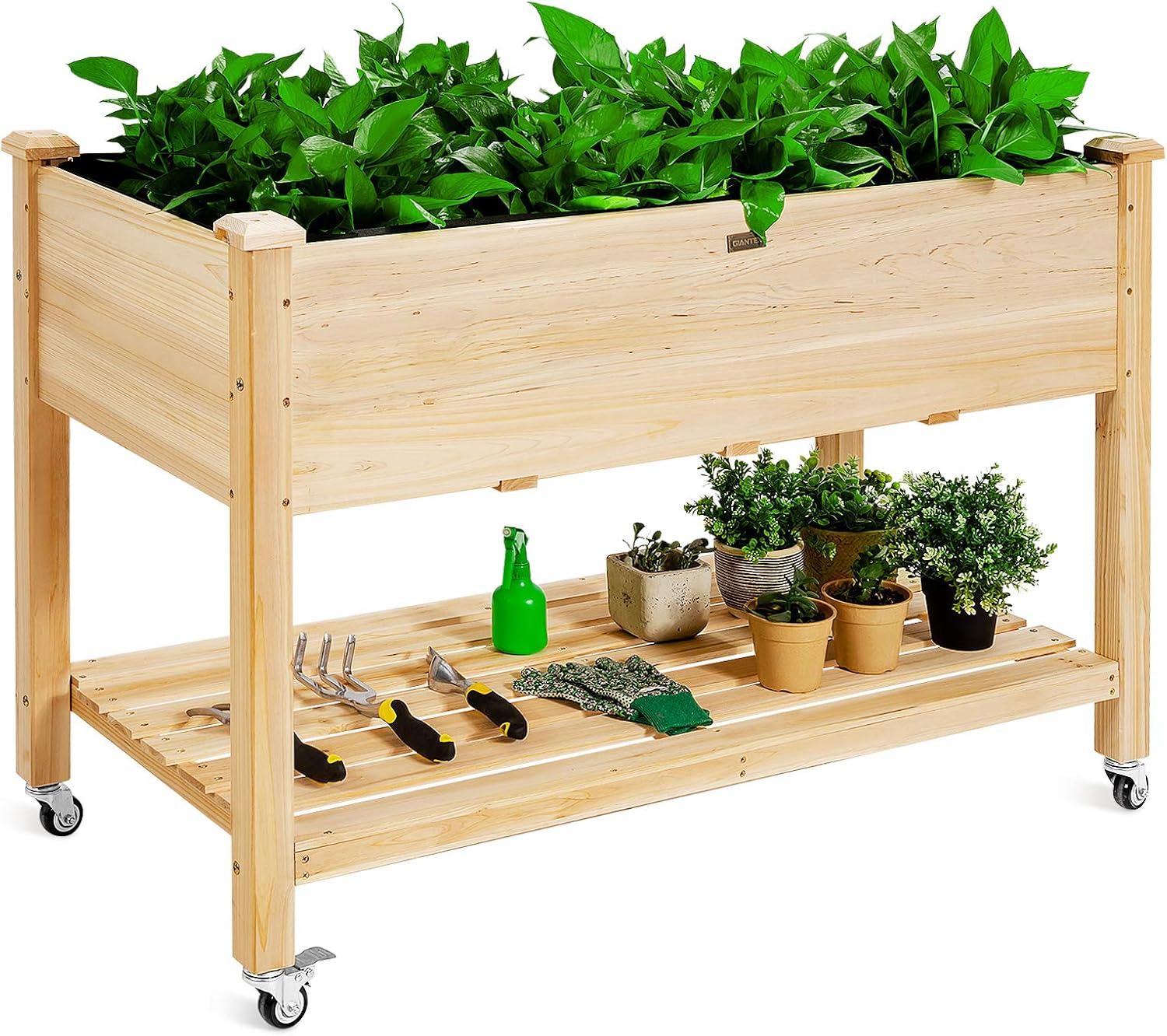 Raised Garden Bed - حوض زراعة خشبي مرتفع على عجلات