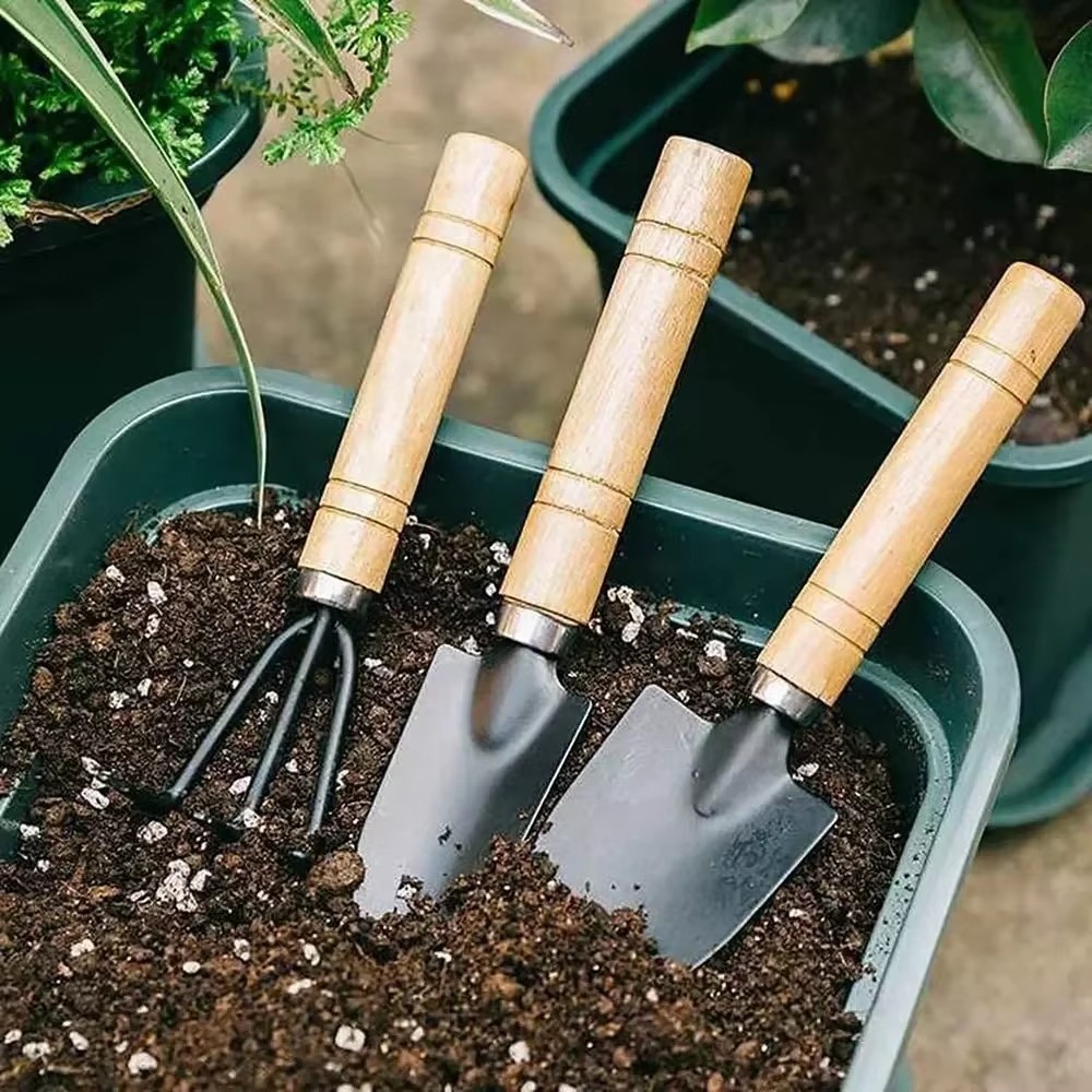 Indoor Herb Garden - مجموعة أدوات حدائق صغيرة مكونة من