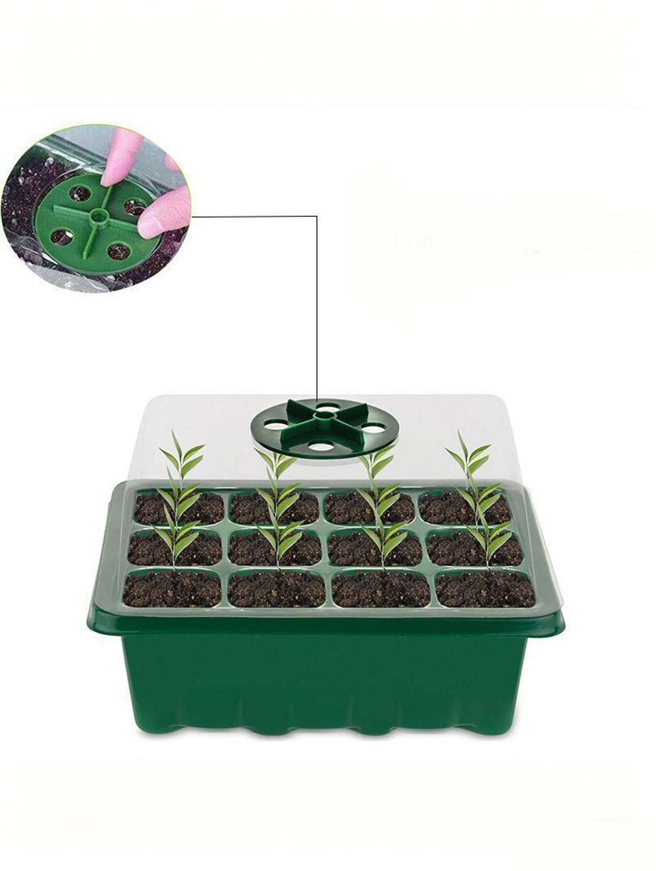 Seed Starter Tray - صينية شتلات بـ 6/12 فتحة، مصنوعة