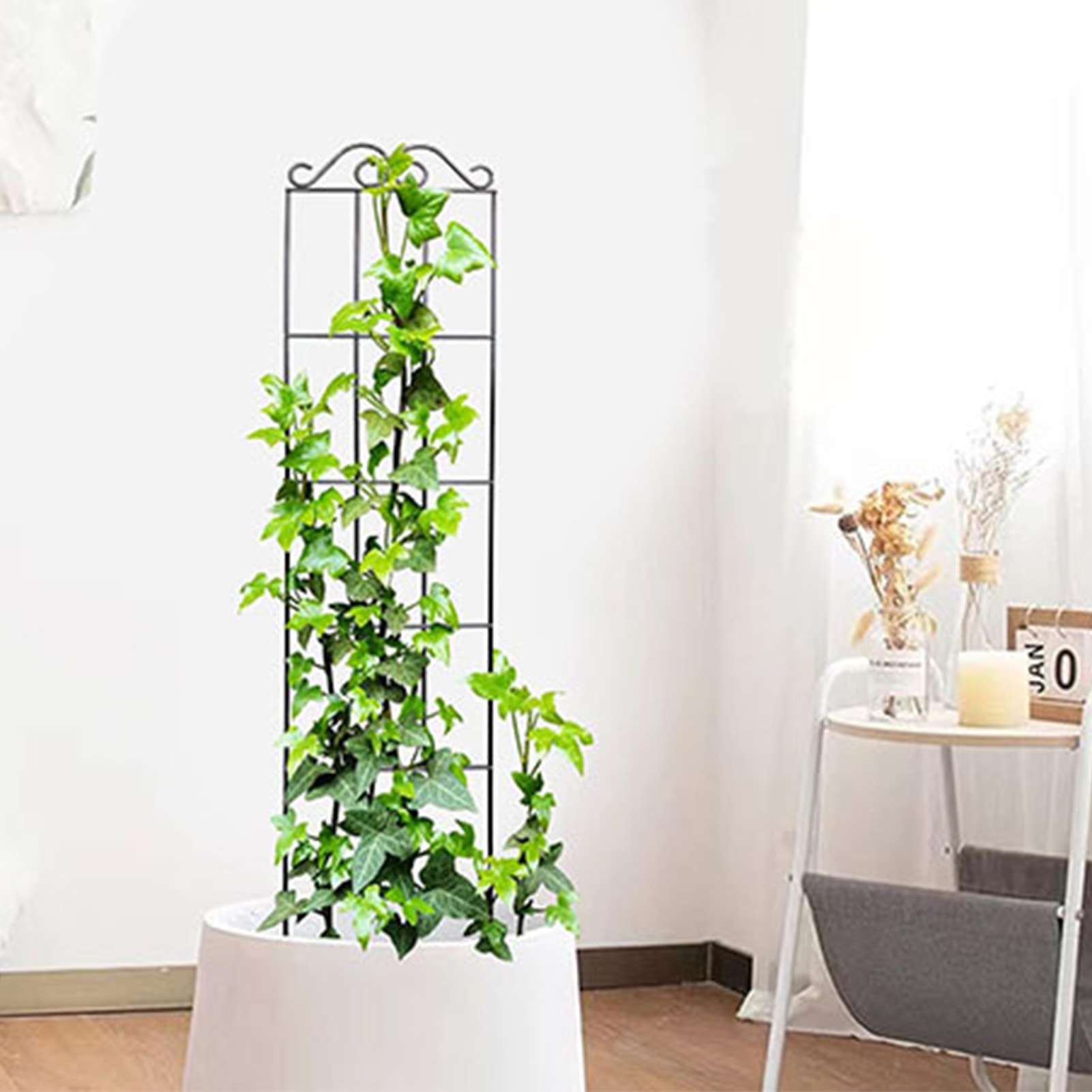 تعريشة حديقة متينة ، دعم ساق ن - مراجعة Indoor Herb Garden وسعره