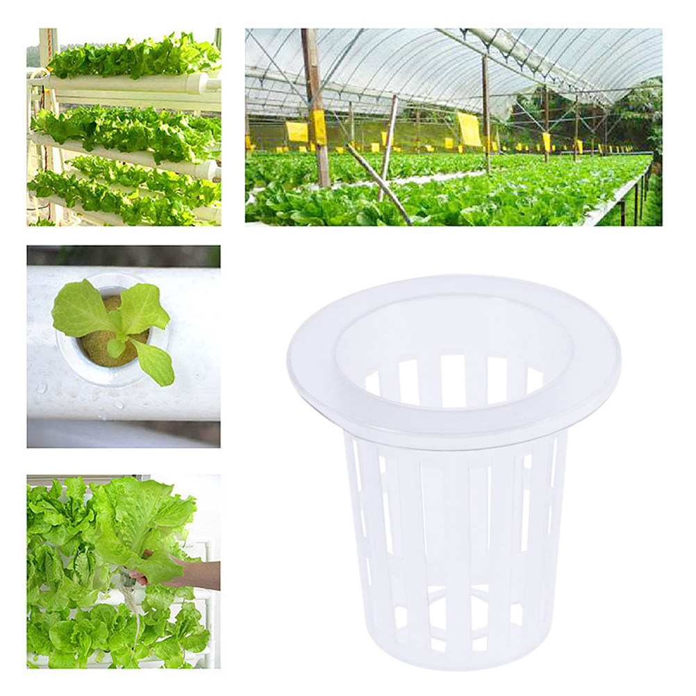 10 قطع من أوعية الزراعة المائي - مراجعة Plant Pot وسعره