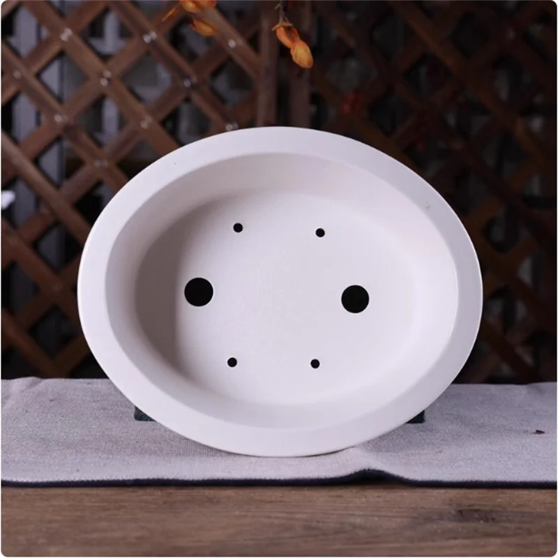 نعم، إناء بونساي بيضاوي الشكل  - مراجعة Plant Pot وسعره