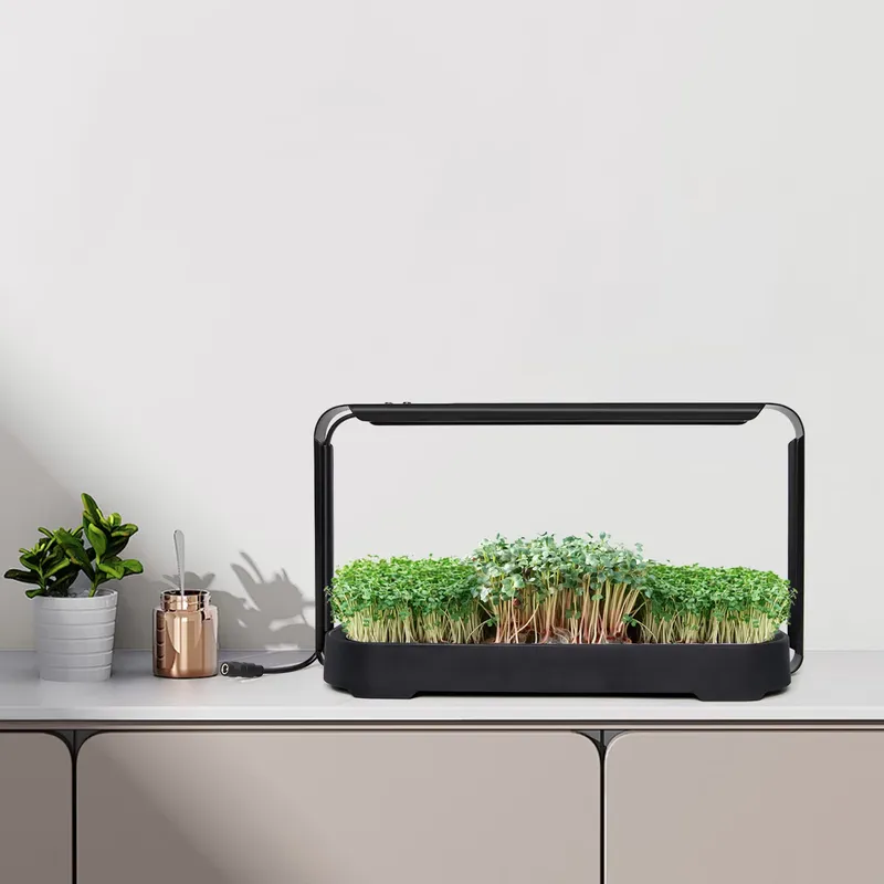 نظام زراعة ميكروجرينز هيدروبون - مراجعة Hydroponic Kit وسعره