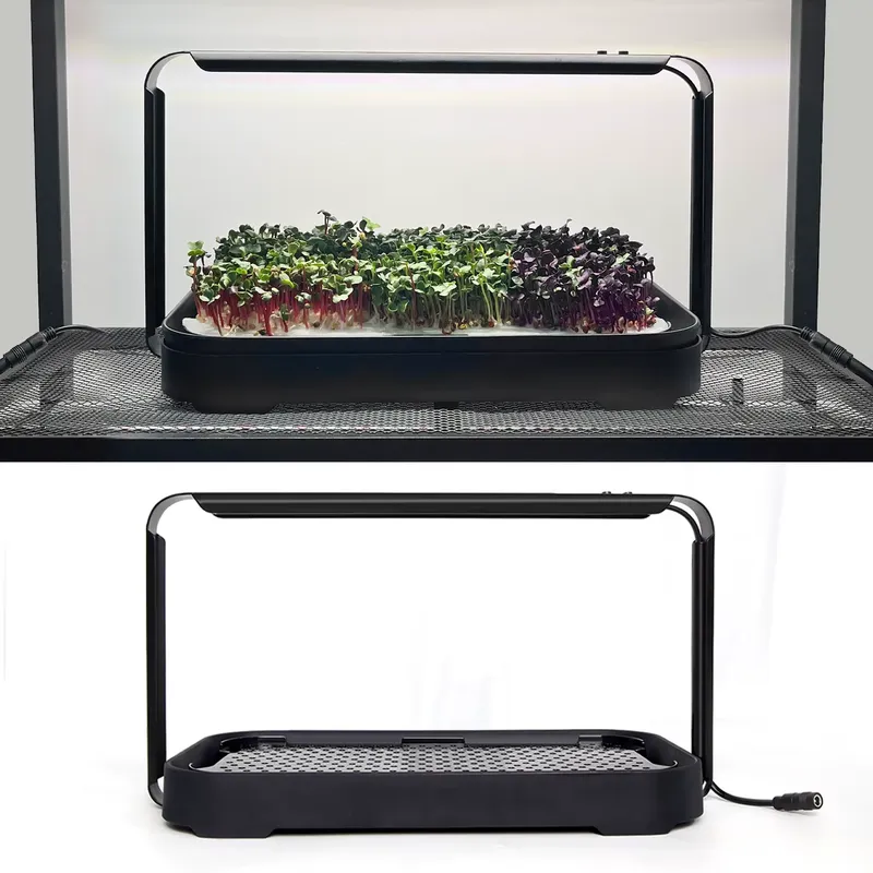 نظام زراعة ميكروجرينز هيدروبون - مراجعة Hydroponic Kit وسعره