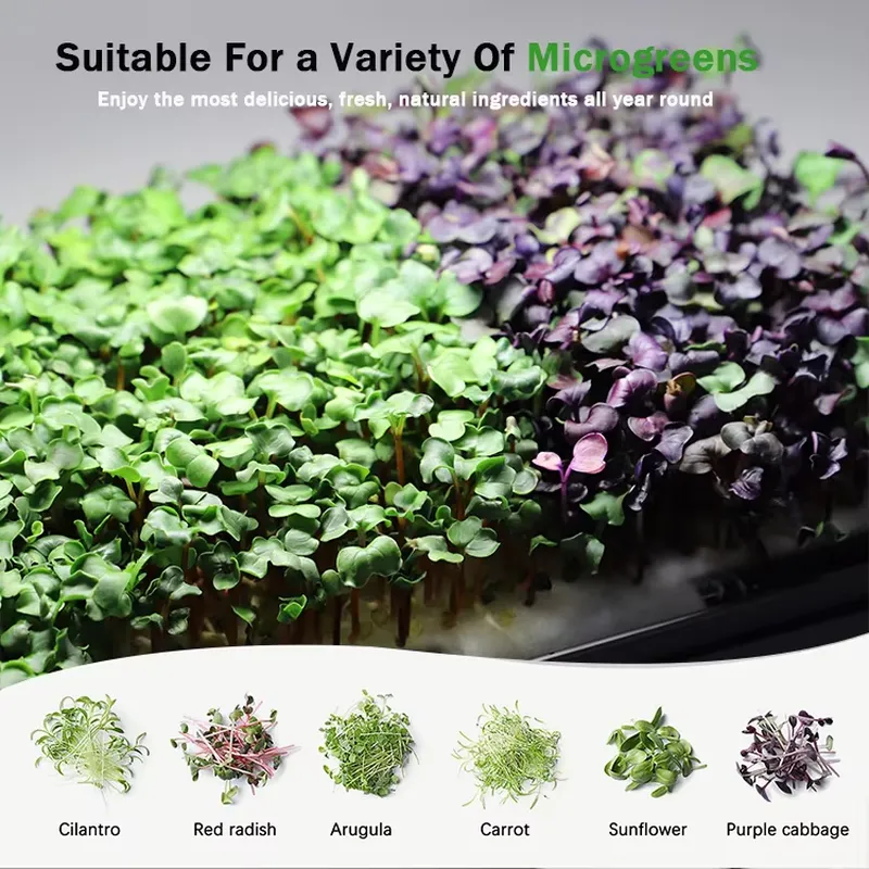 نظام زراعة ميكروجرينز هيدروبون - مراجعة Hydroponic Kit وسعره