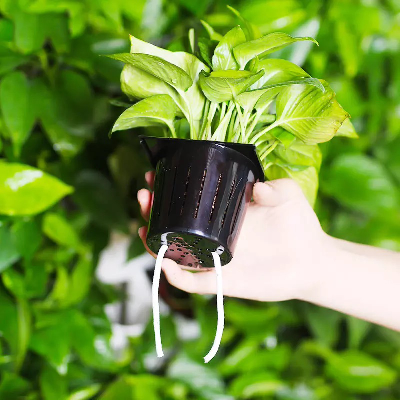 نظام زراعة مائية داخلي بمساحة  - مراجعة Hydroponic Kit وسعره