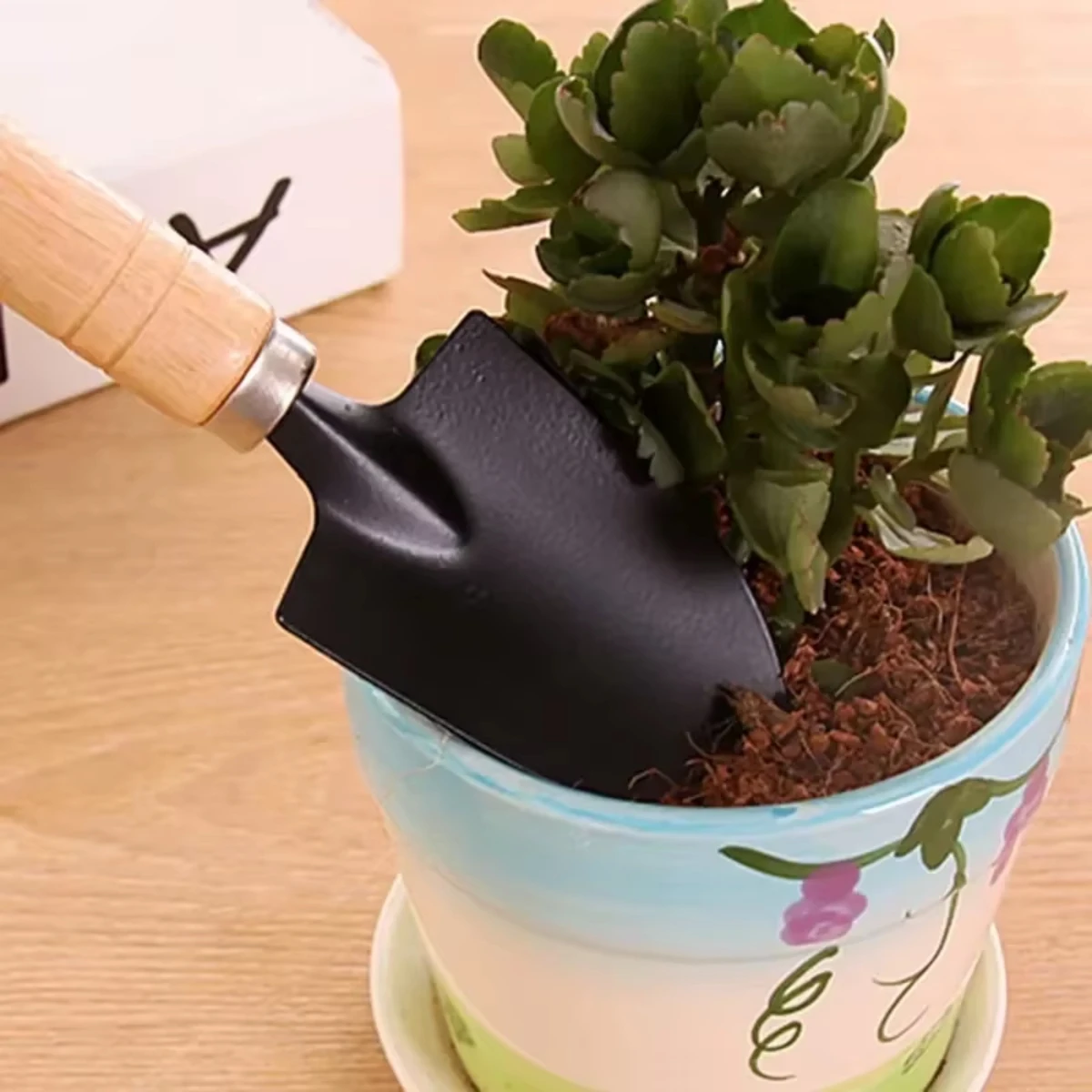 مجموعة أدوات صغيرة للحديقة، تت - مراجعة Indoor Herb Garden وسعره
