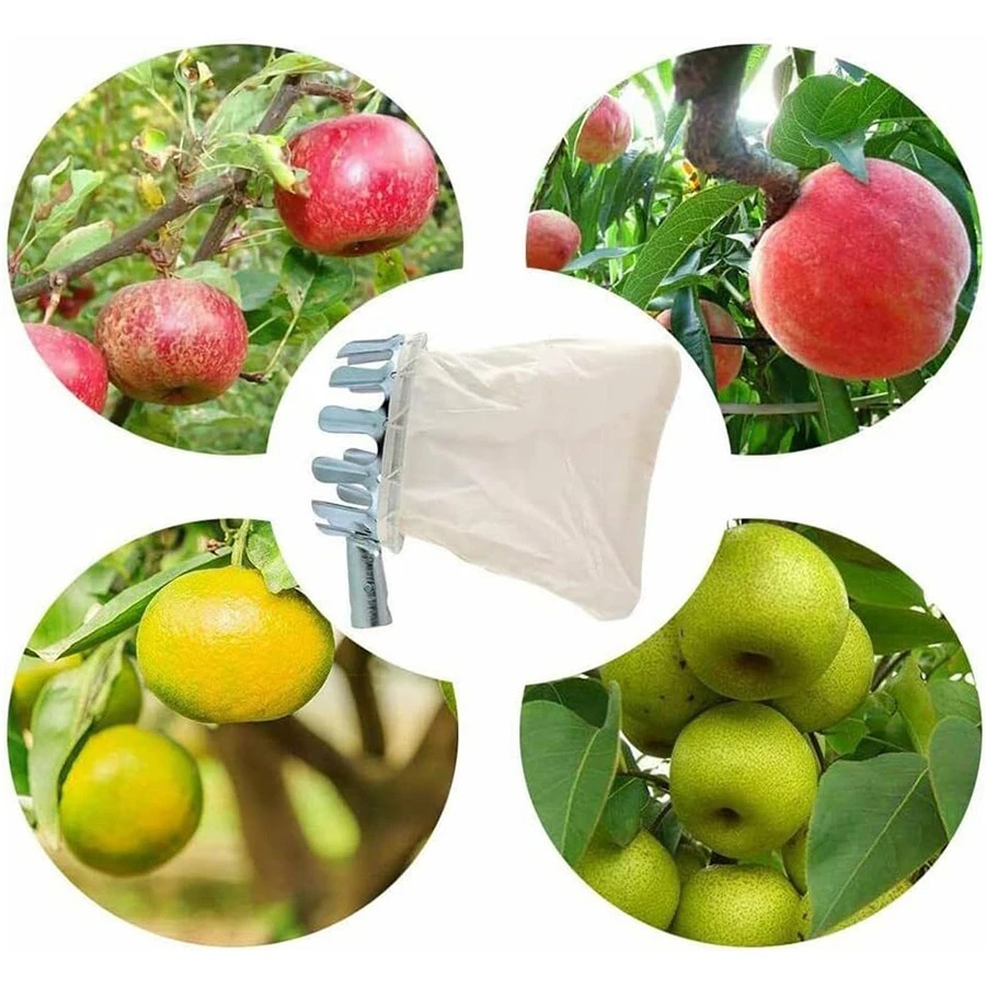 مجموعة أدوات حصاد الفاكهة 3 في - مراجعة Grow Bag وسعره