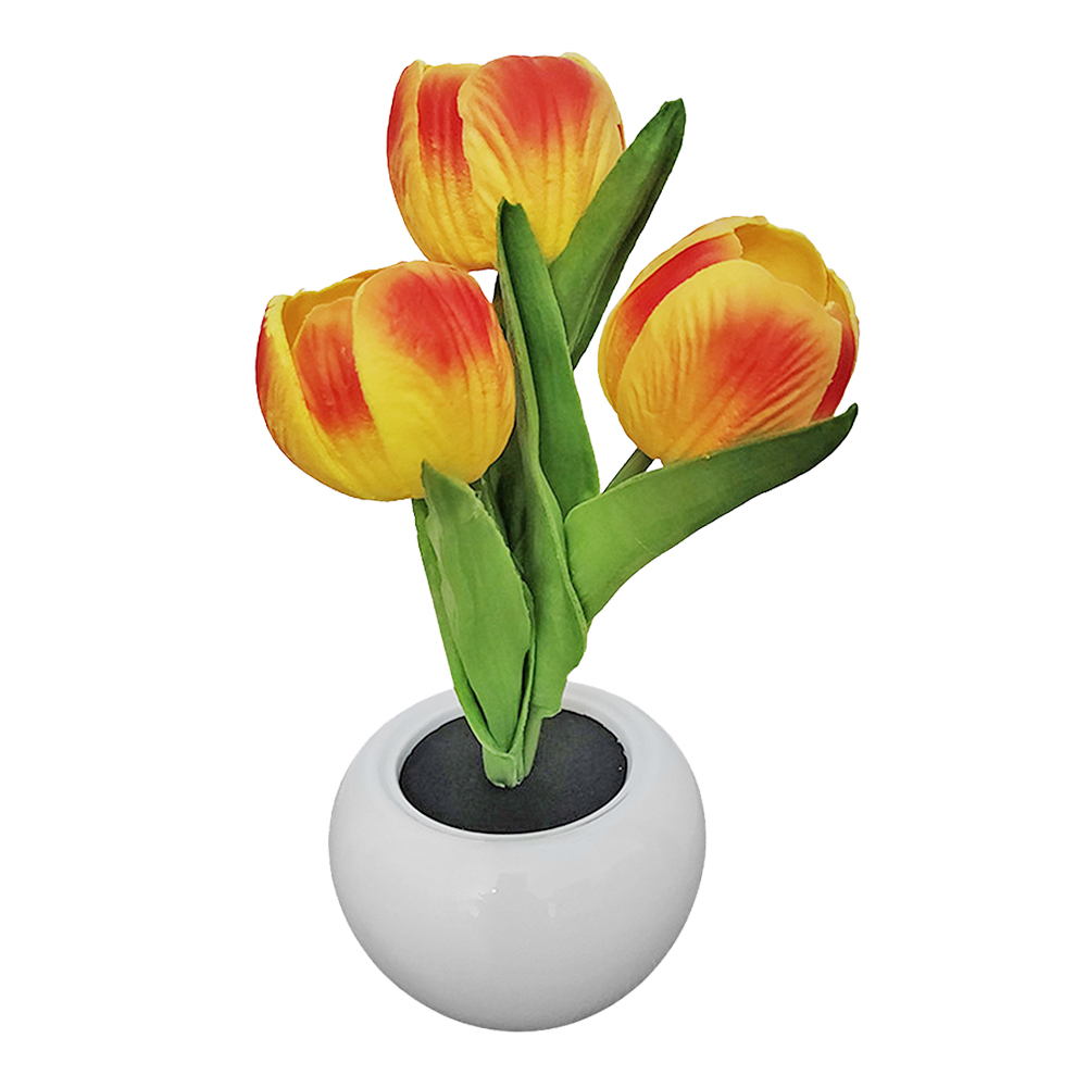 مصباح طاولة على شكل نبتة في وع - مراجعة Plant Pot وسعره