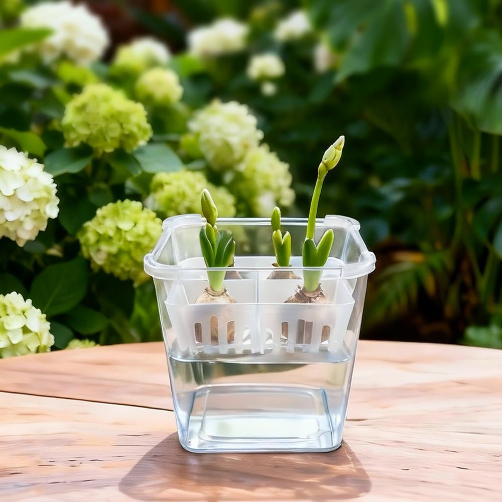 وعاء زراعة مائية للزهور، مناسب - مراجعة Plant Pot وسعره