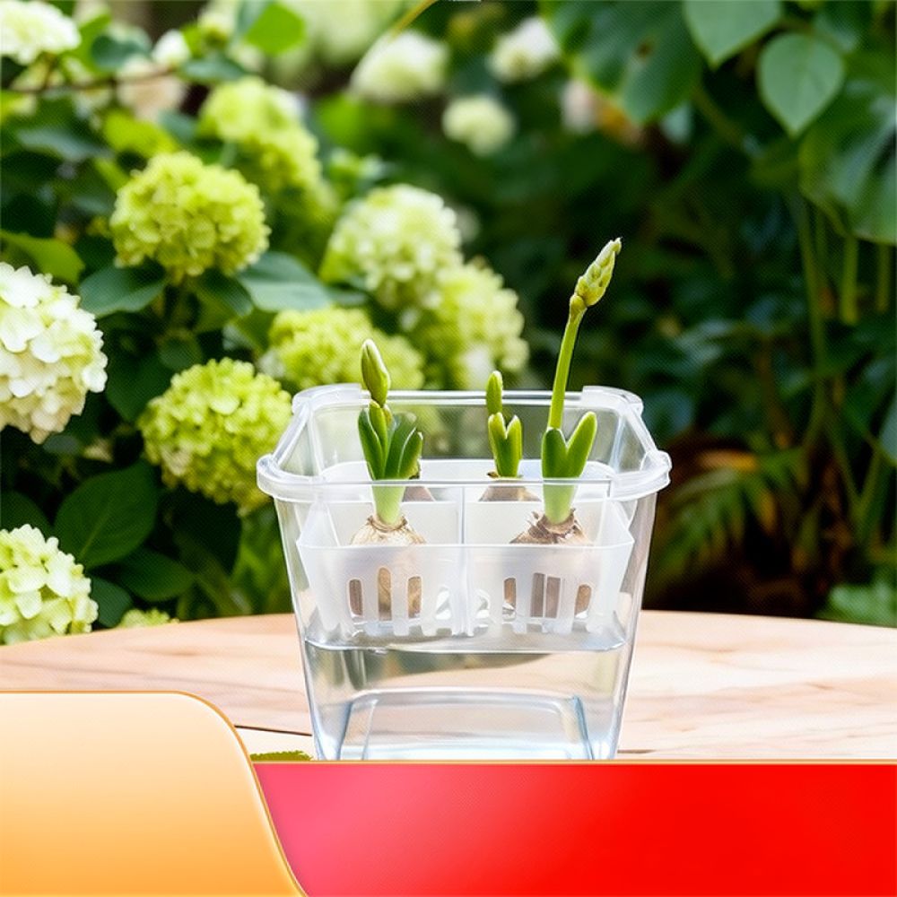 وعاء زراعة مائية للزهور، مناسب - مراجعة Plant Pot وسعره