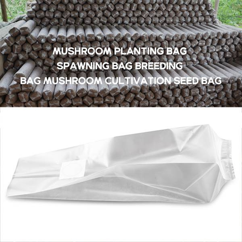 50 عدد من أكياس الفطر/أكياس زر - مراجعة Grow Bag وسعره