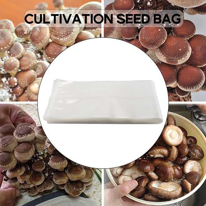 50 عدد من أكياس الفطر/أكياس زر - مراجعة Grow Bag وسعره