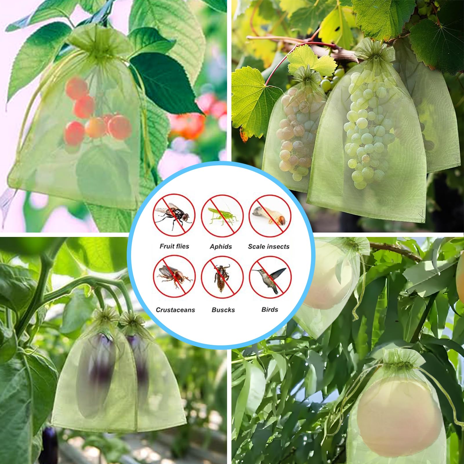 شبكة فعالة مضادة للطيور لحماية - مراجعة Grow Bag وسعره