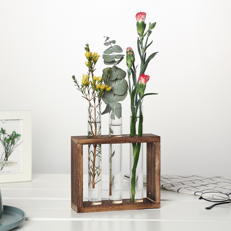 زارع مائي زجاجي 5 أنابيب مع حا - مراجعة Indoor Herb Garden وسعره