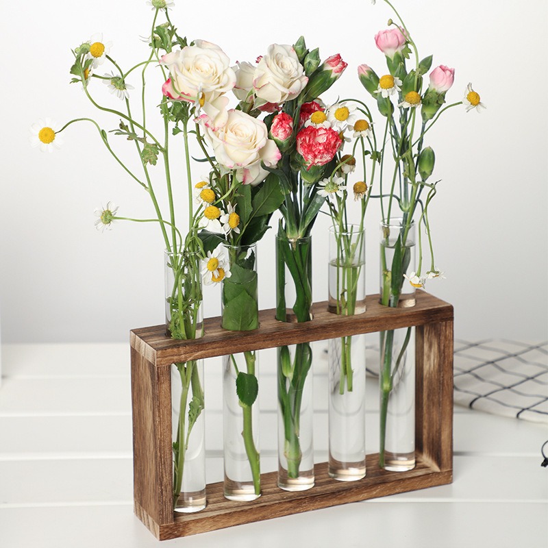 زارع مائي زجاجي 5 أنابيب مع حا - مراجعة Indoor Herb Garden وسعره