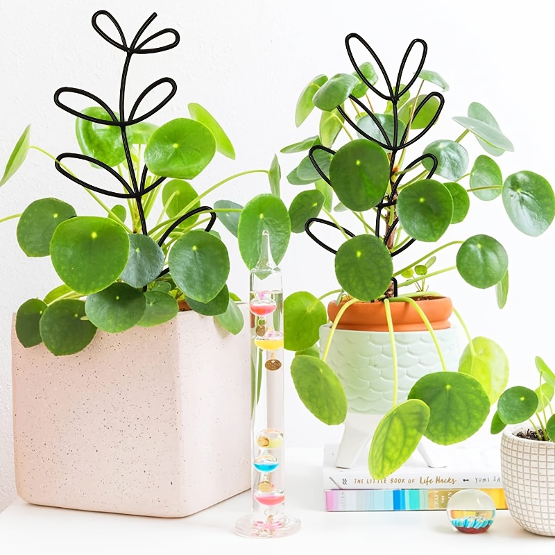 3 قطعة إطار دعم النبات تسلق ال - مراجعة Indoor Herb Garden وسعره