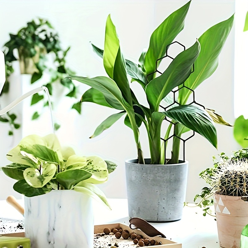 3 قطعة إطار دعم النبات تسلق ال - مراجعة Indoor Herb Garden وسعره