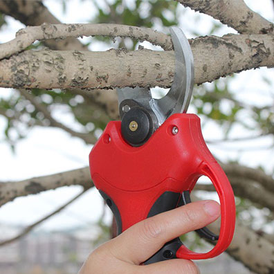مقص تقليم كهربائي لاسلكي عالي  - مراجعة Pruning Shears وسعره
