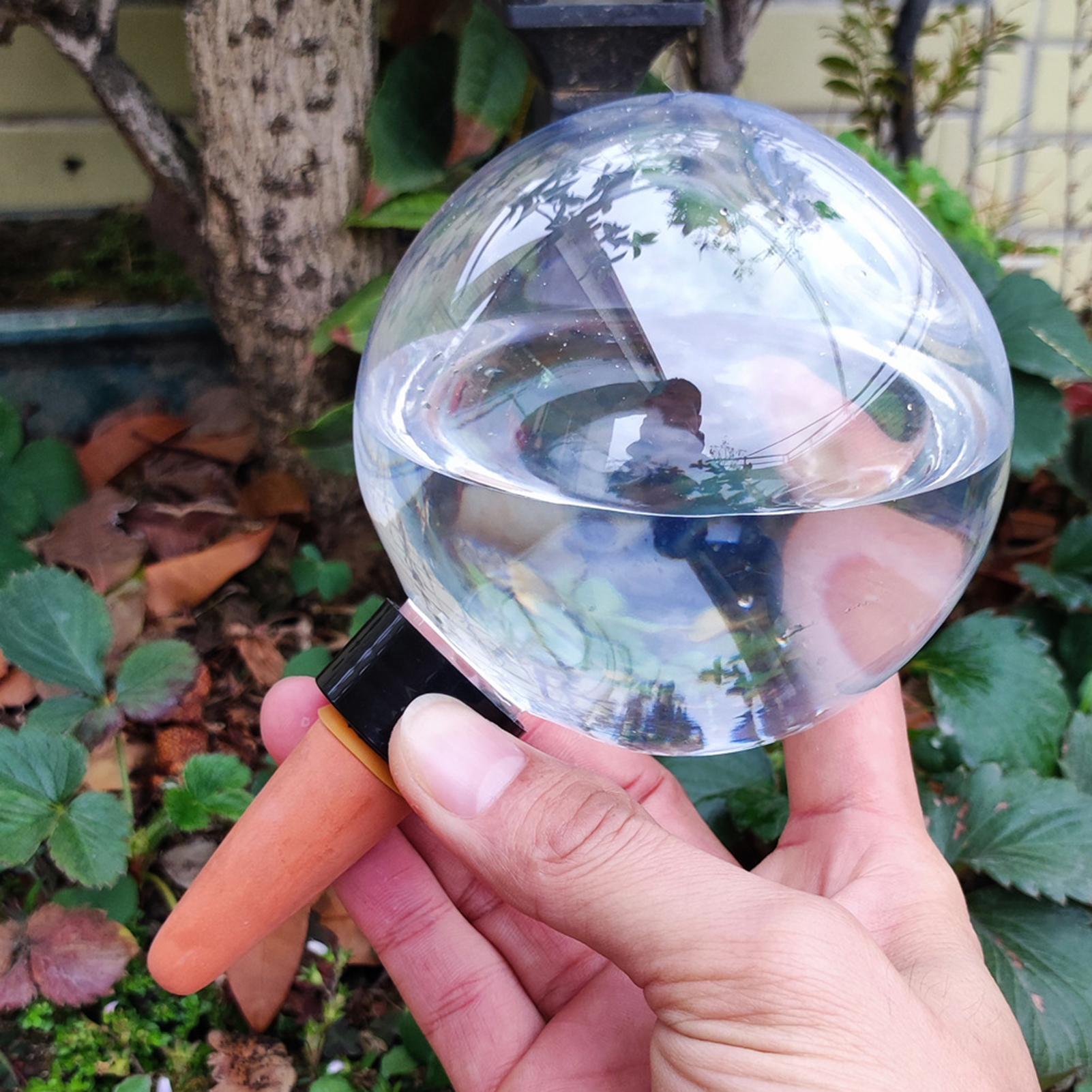 500 مللي لمبات سقي النباتات ال - مراجعة Self Watering Planter وسعره