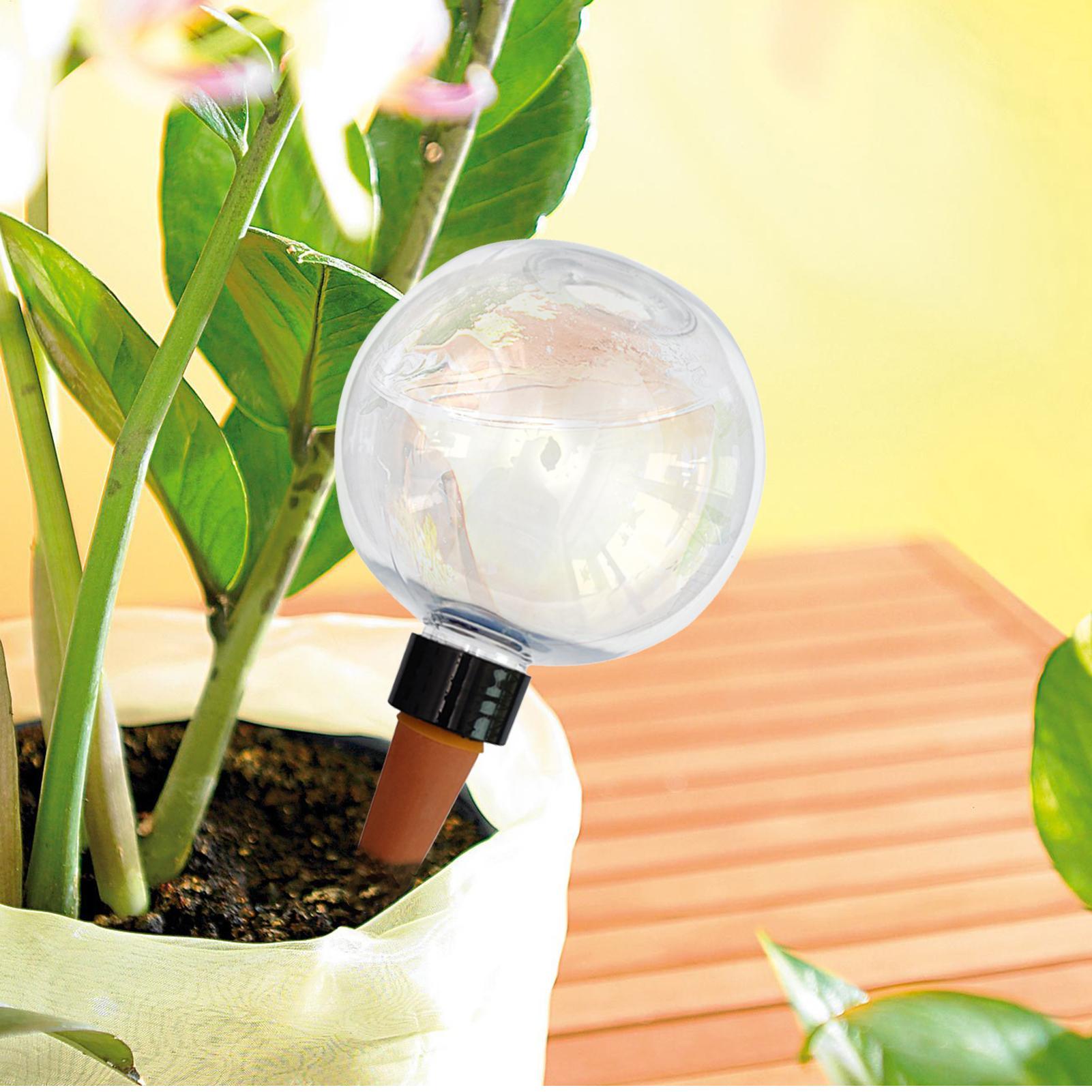 500 مللي لمبات سقي النباتات ال - مراجعة Self Watering Planter وسعره