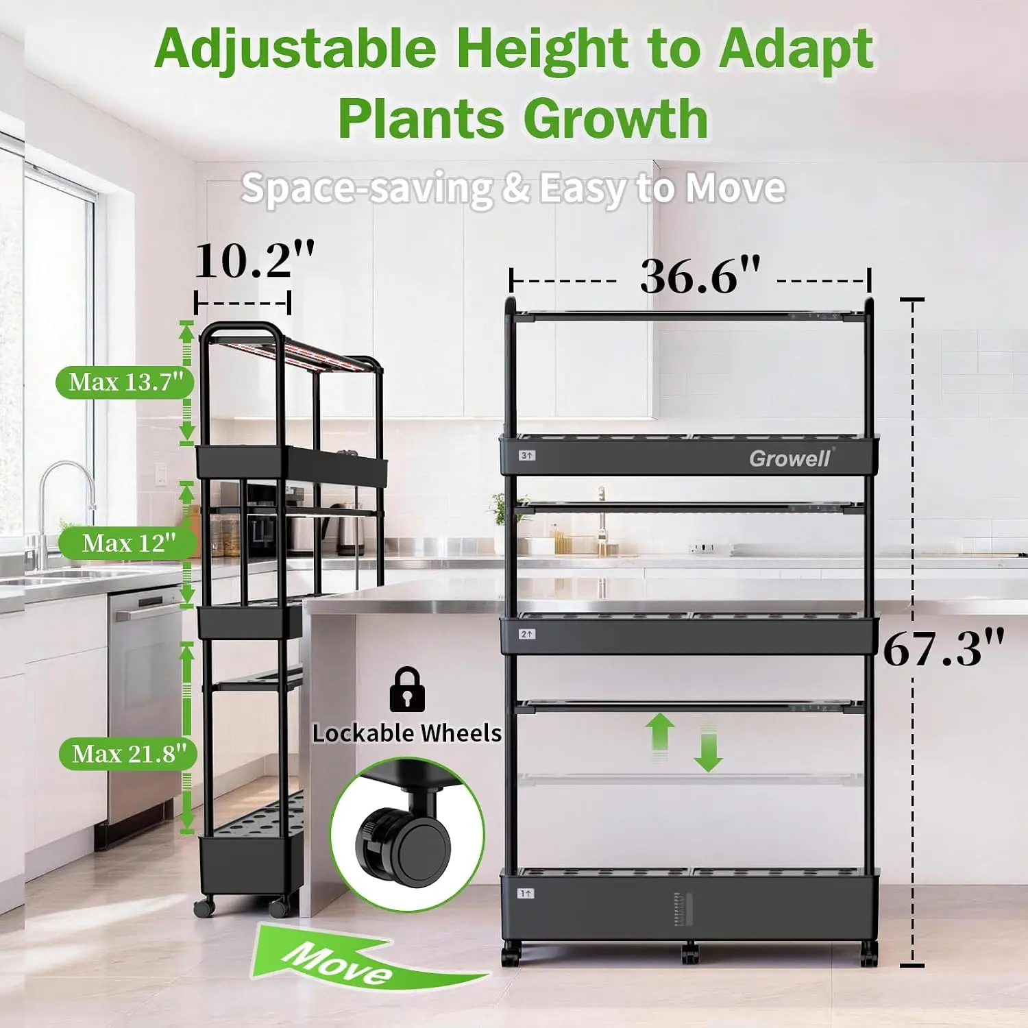 نظام زراعة مائية كبير، طقم حدي - مراجعة Hydroponic Kit وسعره