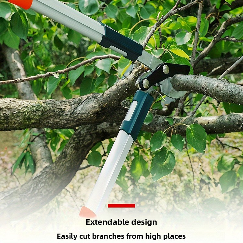 مقص تقليم متين للاستخدام في ال - مراجعة Pruning Shears وسعره