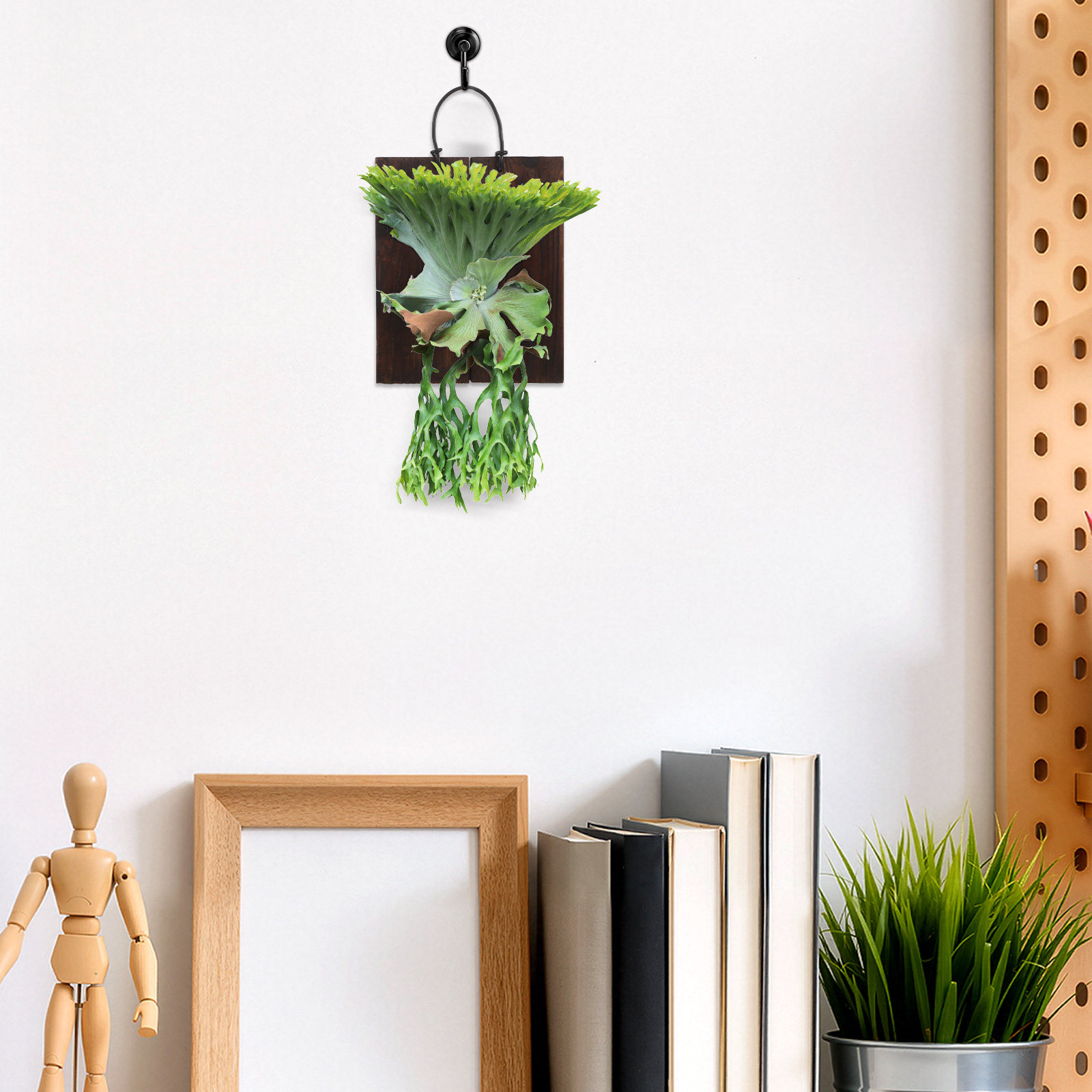 حامل نباتات عمودي من خشب كربون - مراجعة Vertical Planter وسعره
