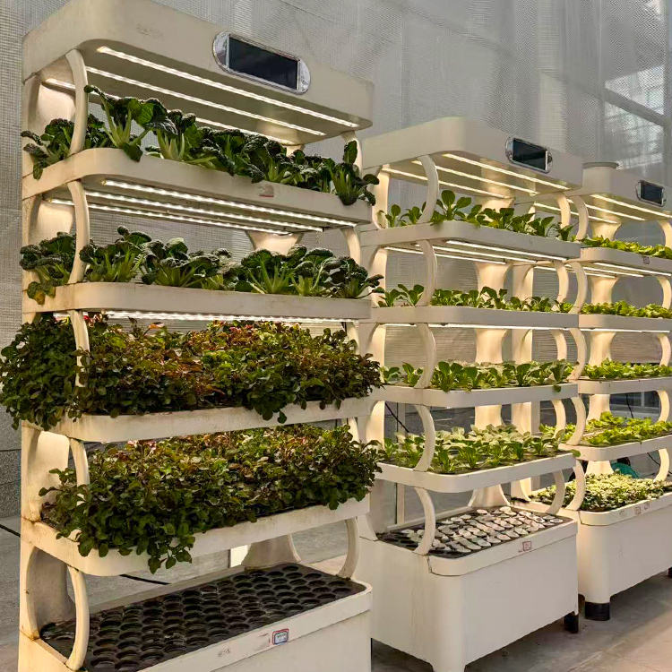 حوض زراعة ذكي للاستخدام الداخل - مراجعة Grow Light Led وسعره